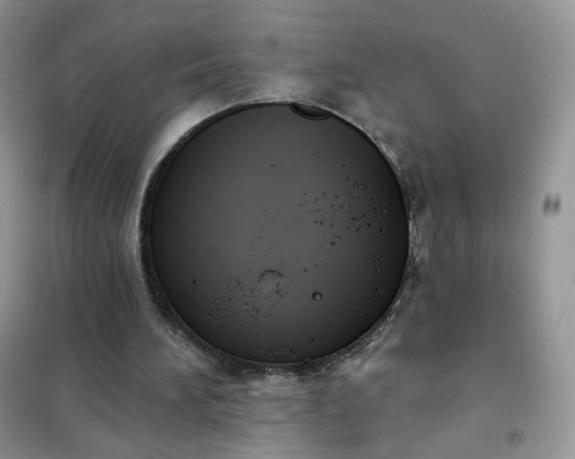 X0000102040196200808011518