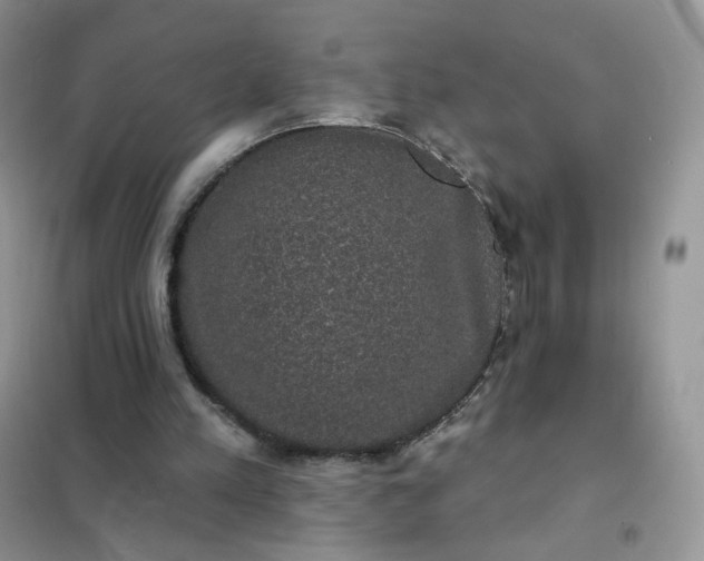 X0000102040197200808011518