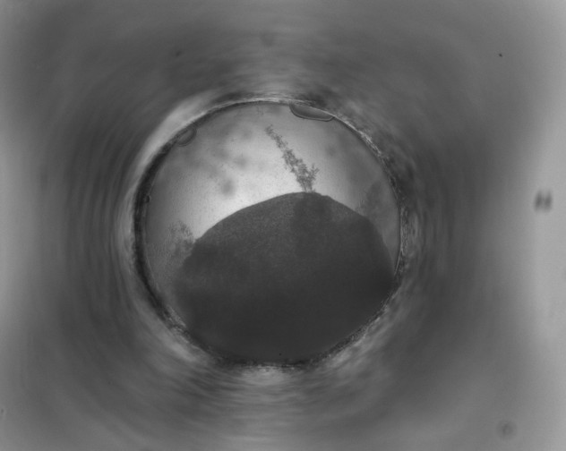 X0000102040198200808011518