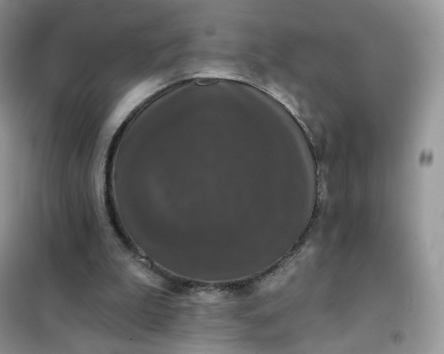 X0000102040199200808011518