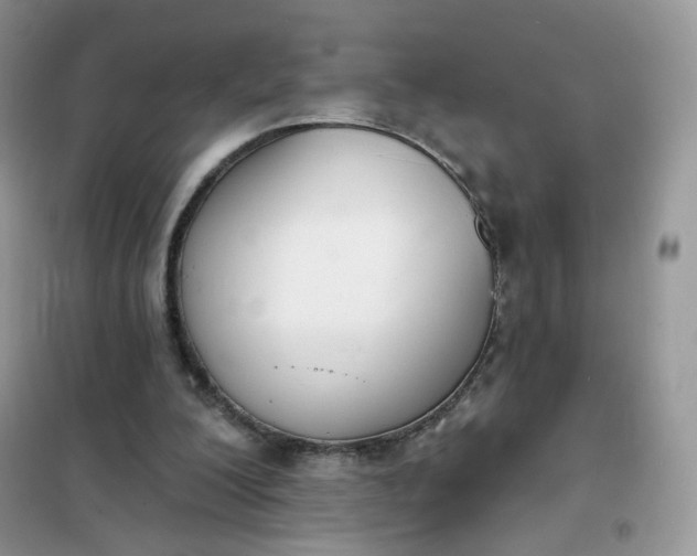 X0000102040200200808011518