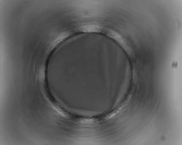 X0000102040202200808011518