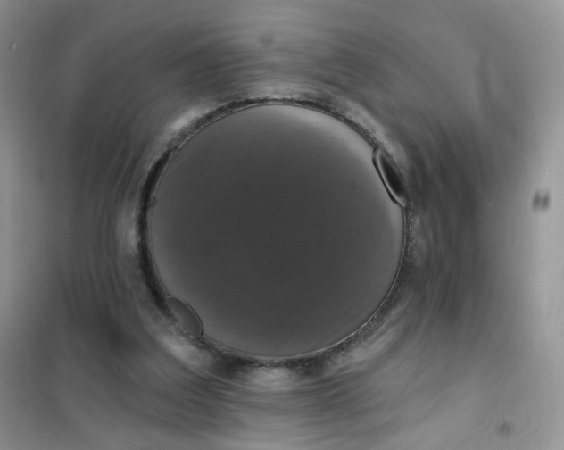 X0000102040203200808011518