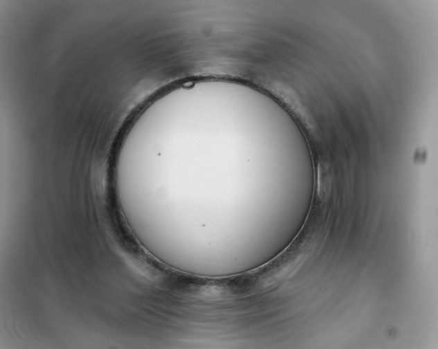 X0000102040204200808011518