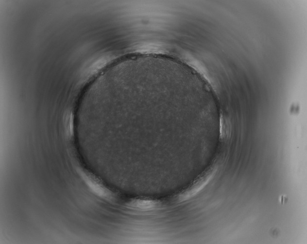 X0000102040205200808011518