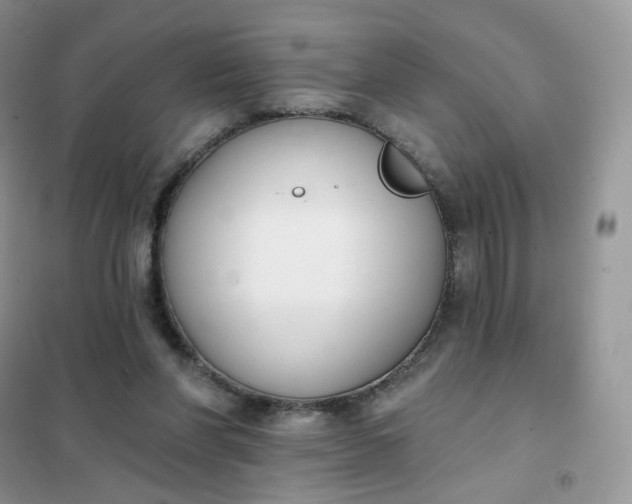 X0000102040206200808011518