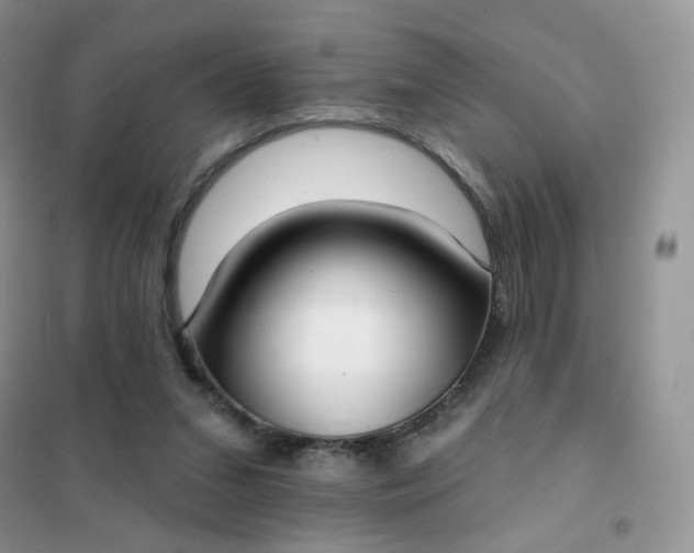 X0000102040207200808011518