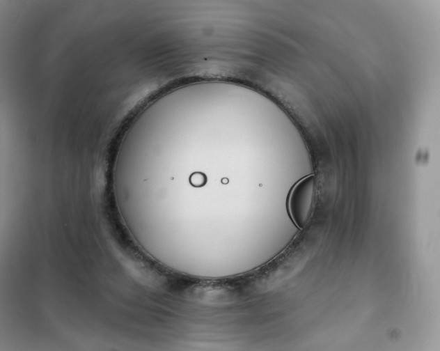 X0000102040208200808011518