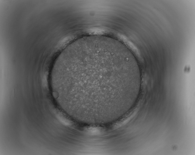 X0000102040209200808011518