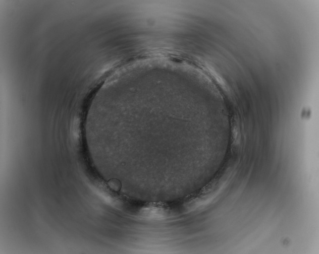 X0000102040211200808011518