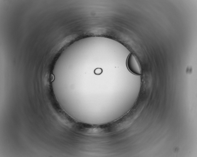 X0000102040212200808011518