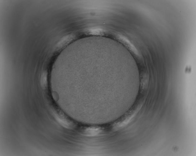 X0000102040213200808011518