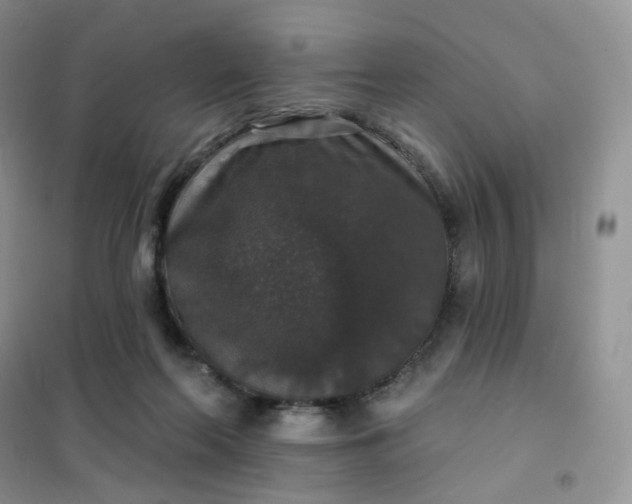 X0000102040214200808011518