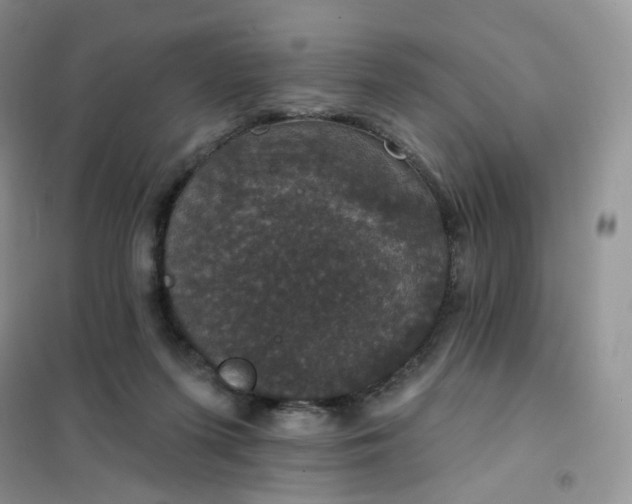 X0000102040215200808011518