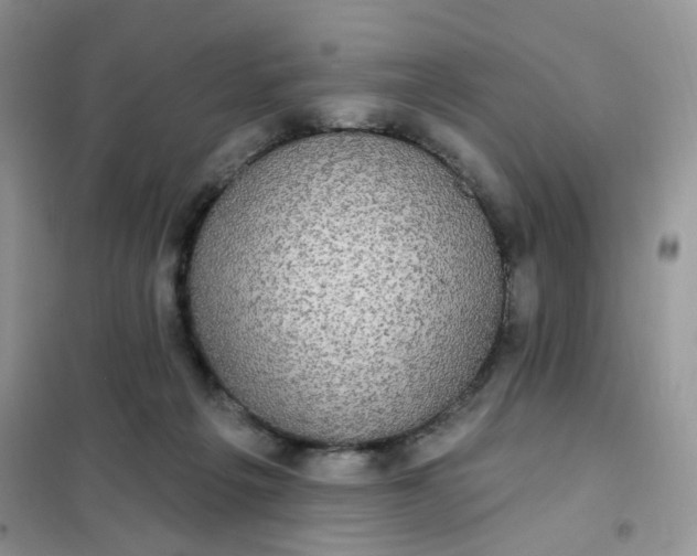 X0000102040217200808011518