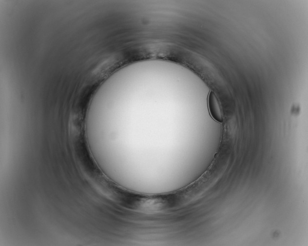 X0000102040218200808011518