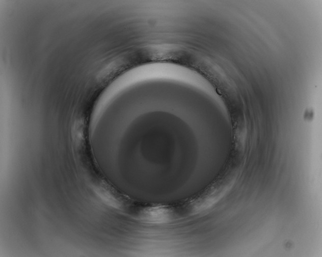 X0000102040219200808011518