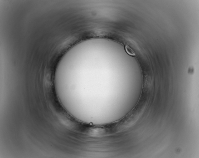 X0000102040220200808011518