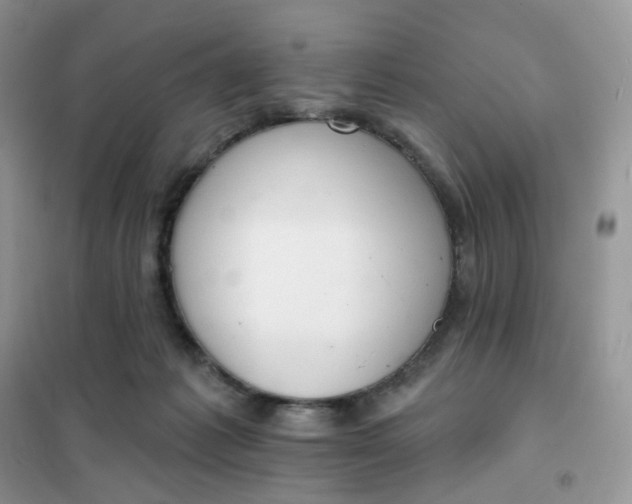 X0000102040221200808011518