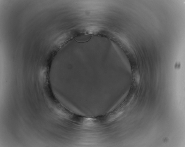 X0000102040222200808011518