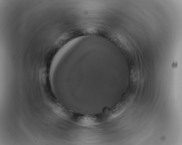 X0000102040223200808011518