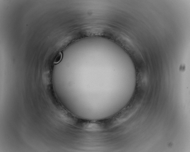 X0000102040224200808011518