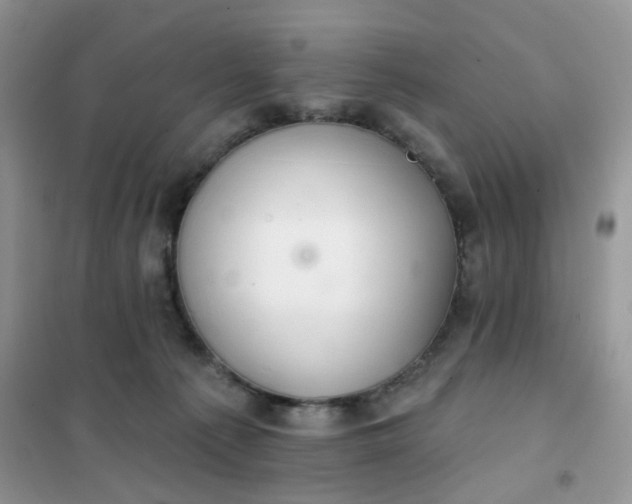 X0000102040225200808011518