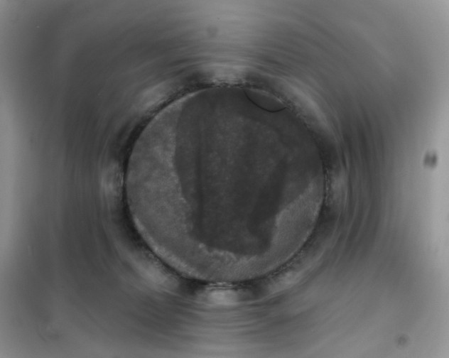 X0000102040228200808011518