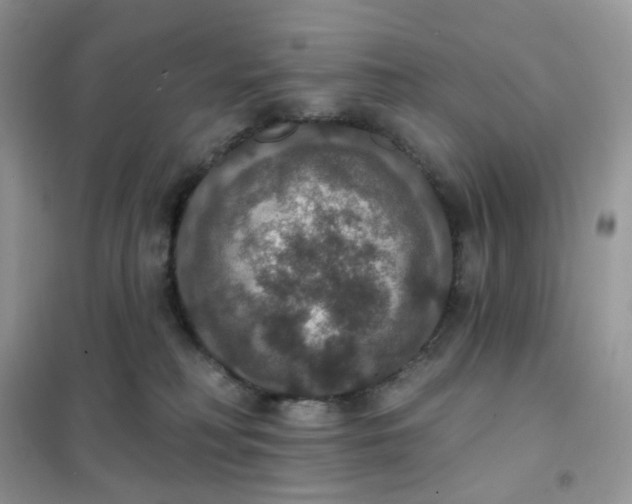 X0000102040230200808011518