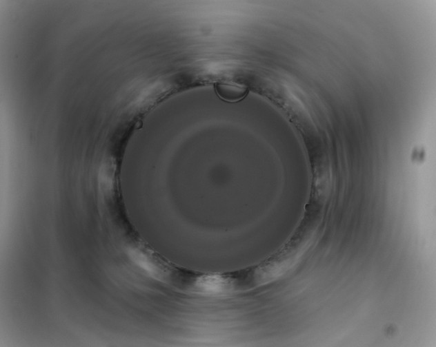 X0000102040231200808011518