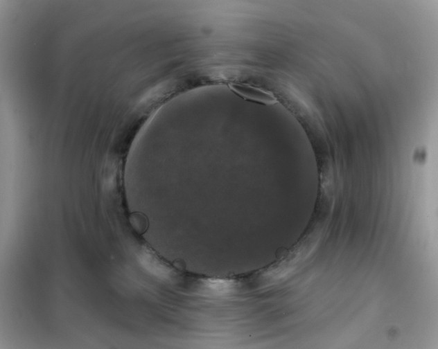 X0000102040233200808011518