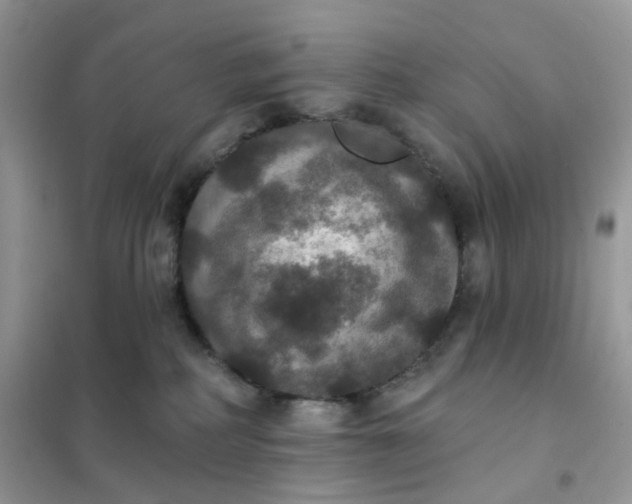 X0000102040234200808011518