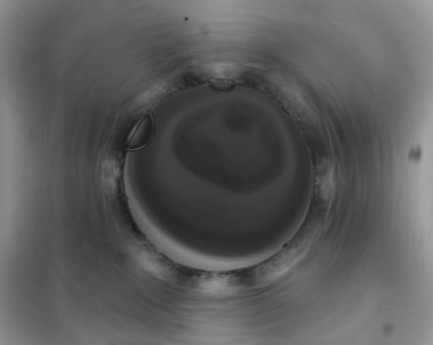 X0000102040235200808011518