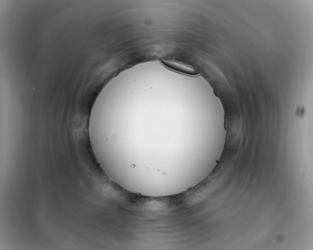 X0000102040236200808011518