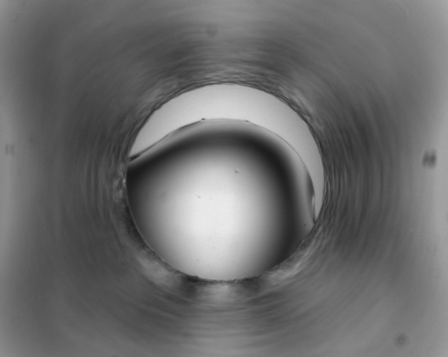 X0000102040237200808011518