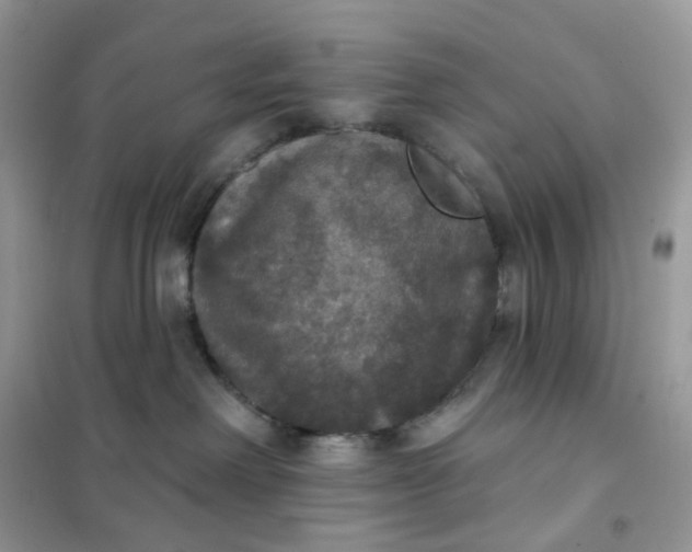 X0000102040238200808011518