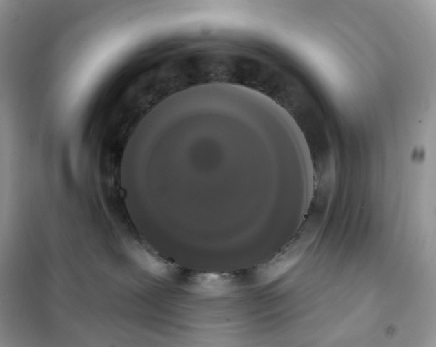 X0000102040239200808011518