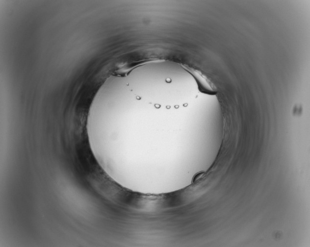 X0000102040240200808011518