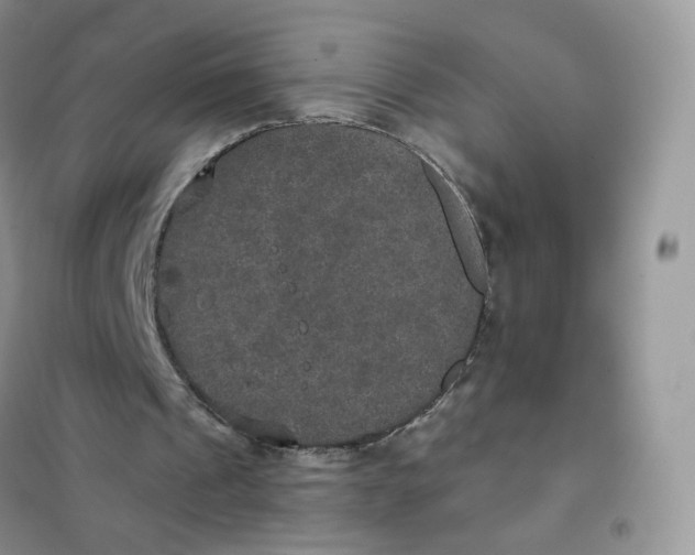 X0000102040241200808011517