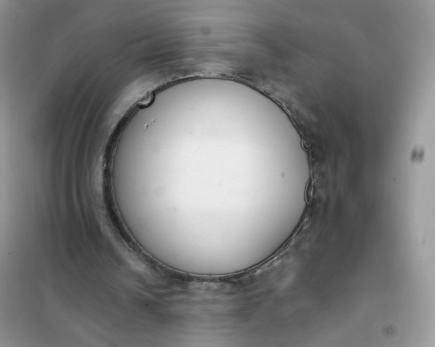 X0000102040242200808011517