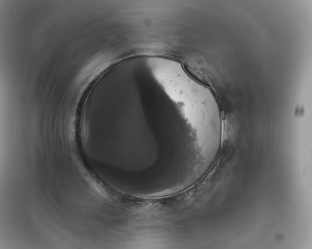 X0000102040243200808011517