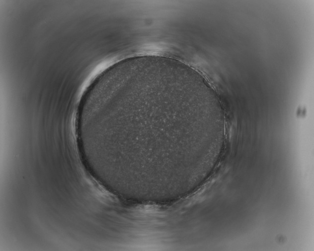 X0000102040244200808011517