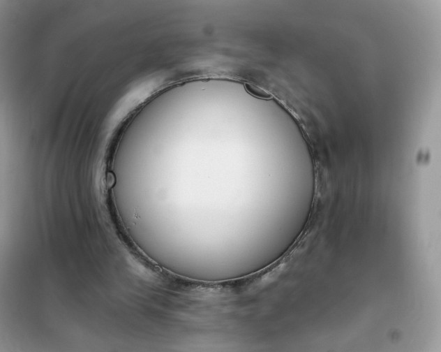 X0000102040245200808011517