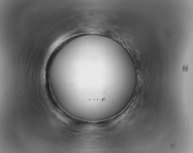 X0000102040246200808011517