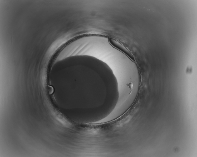 X0000102040247200808011517