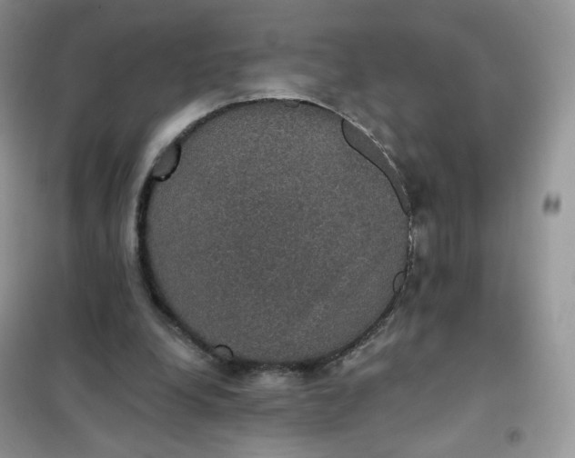 X0000102040248200808011517