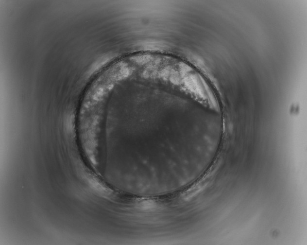 X0000102040249200808011517