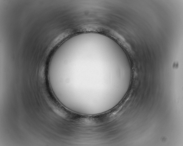 X0000102040250200808011517