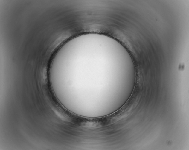 X0000102040251200808011517