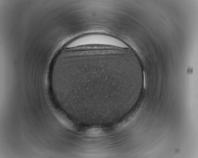 X0000102040252200808011517